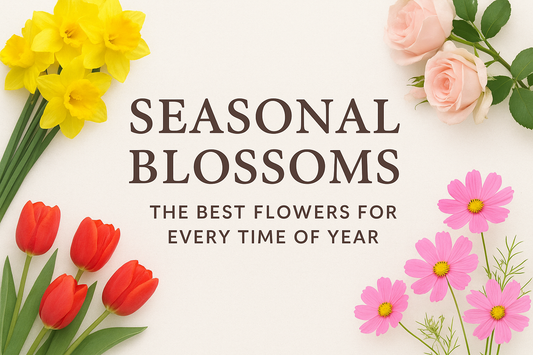 Seasonal Blossoms: The Best Flowers for Every Time of Year