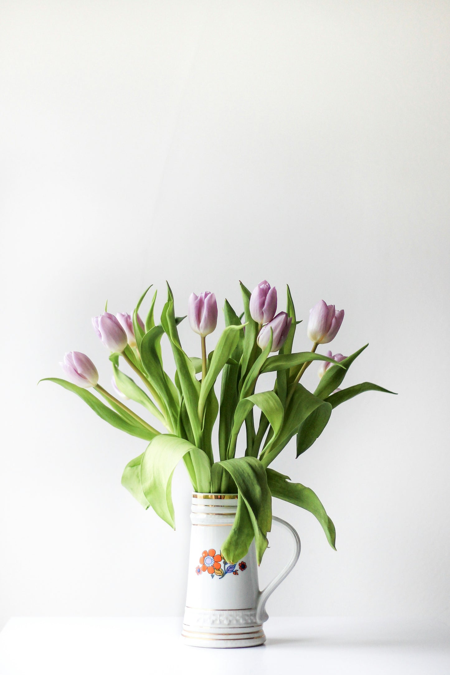 indoor plant