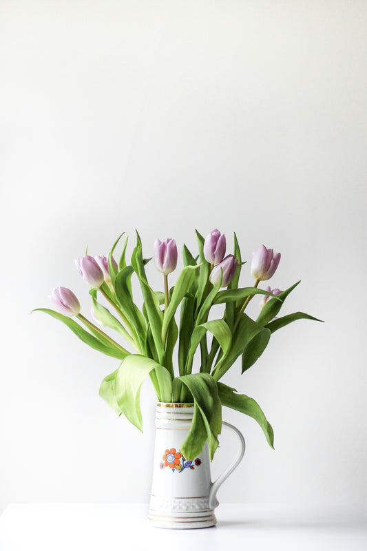 indoor plant